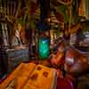 Disneyland Tarzan's Treehouse December 2015