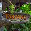 Disneyland Tarzan's Treehouse May 2004