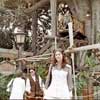 Disneyland Swiss Family Robinson Treehouse May 1975
